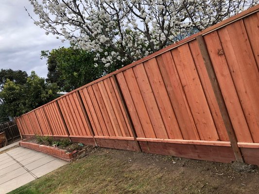 Redwood con heart fence in concors ca