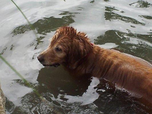 Swimmy girl!