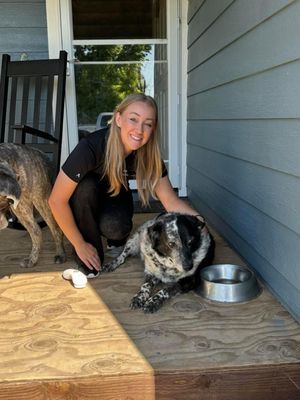 Reload the senior ranch dog gets chiropractic care to keep him mobile and doing what he loves on the ranch