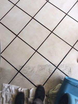 We get the dirtiest tile and grout clean again!