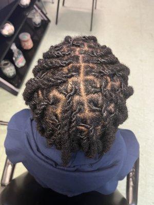 Loc retwist and double strand style