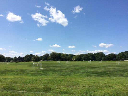 Mondauk Common. Aug 18.