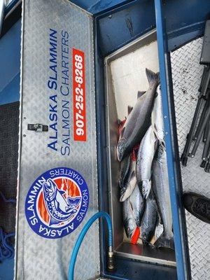 Alaska Slammin Salmon Charters