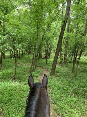 Lynnwood Equestrian