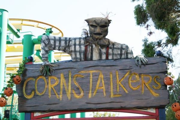 Theme Park Decor: Great America's Haunt