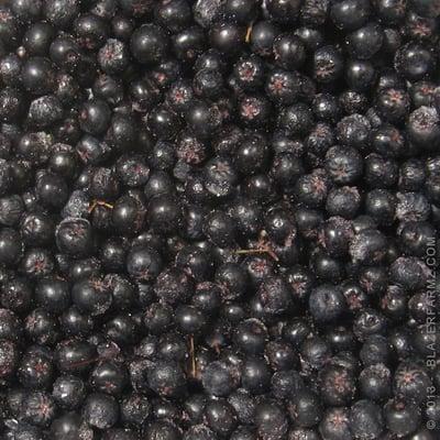 frozen aronia berries for sale