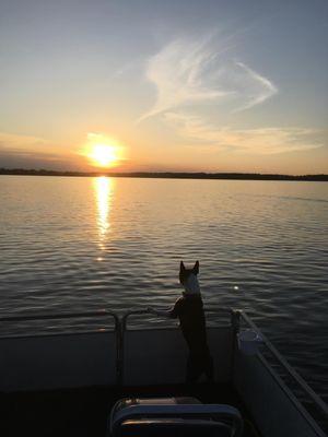 Sunset with my favorite furry friend at Beautiful Lake of the Ozarks!