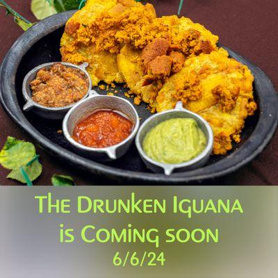 The Drunken Iguana