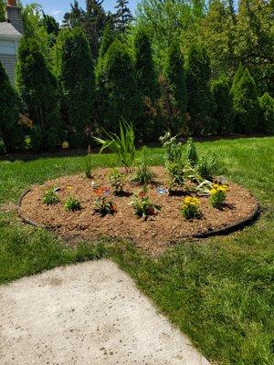 New butterfly  garden