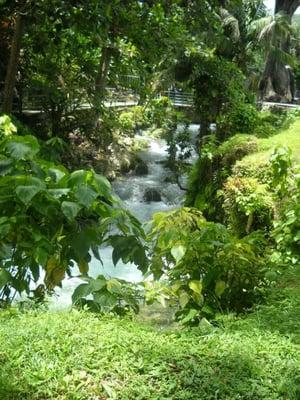 Hidden gem in negril jamaica