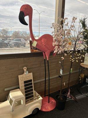 Go Grab Your Flamingo Stuff Now Feb 2023 !!!