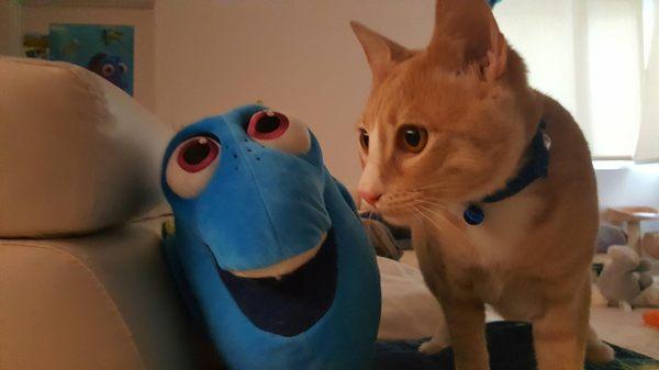 Looks like Oro found Dory!