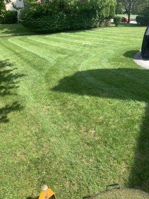 How your lawn can look if you choose us !