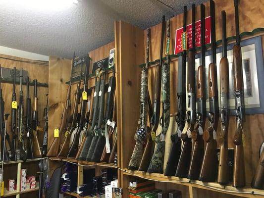 Surplus rifles and hunting shotgun