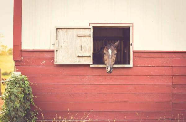 West End Farm