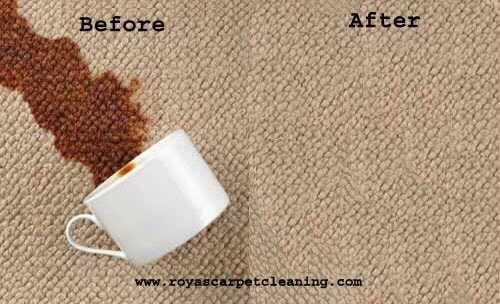 Progressive Carpet Cleaning