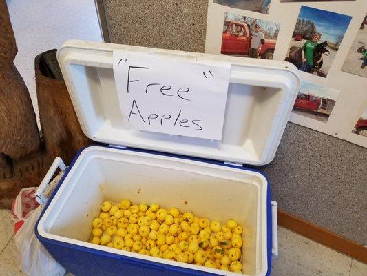 The day we came through, this was by the door. The little golden apples were sweet and delicious, a real treat on our journey.