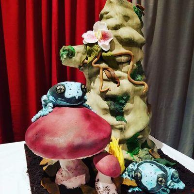 Award winning cake competition entry