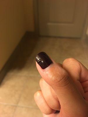 Huge bump over both my shellac thumbnails.