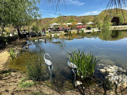 Another view of the seating area near the pond.