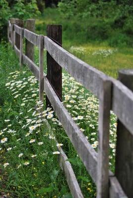 Fence Survey in Massachusetts