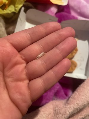 A bone from my chicken nuggets