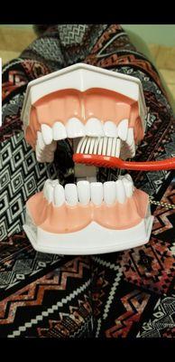 Dentist mouth example