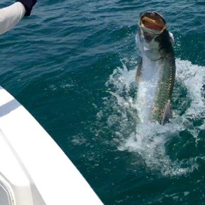 Tarpon FL Fishing Charters