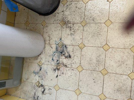 Dirty Bathroom floor