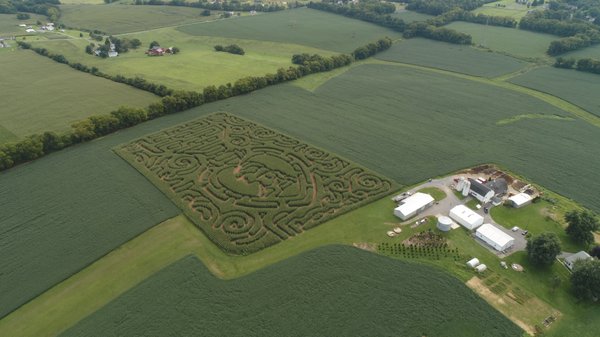 Visit our beautiful area of Harmony, New Jersey and get lost in the military themed corn maze.