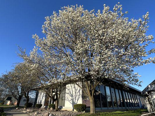 Side view of The Beacon Building located at 2330 Beacon St.. Lyndy, Reiki Master is located inside in Suite #118.