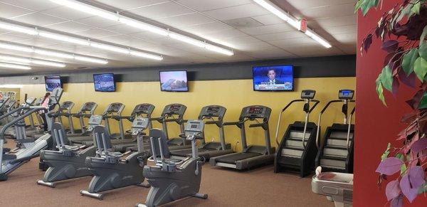 Cardio equipment, stair steppers