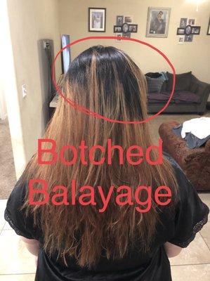 Botched Balayage by Melissa Valero