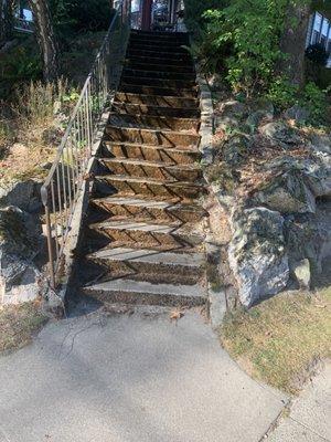 Here is moss build up on concrete steps. (The Before Photo)