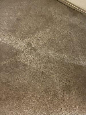 Filthy carpets