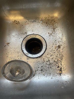 My kitchen sink where he emptied the dirty mop water out. Clogged my sink and left it filthy.