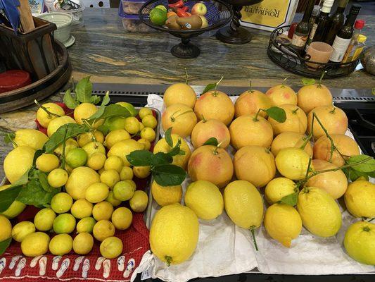 Amazing citrus harvest...and this is just one day!