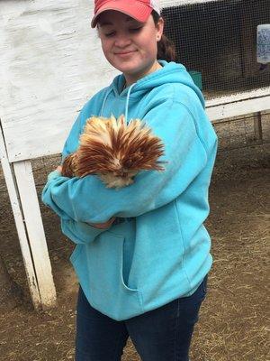 Even chickens get love!