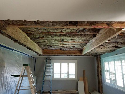 Vaulted ceilings process, Menlo Park