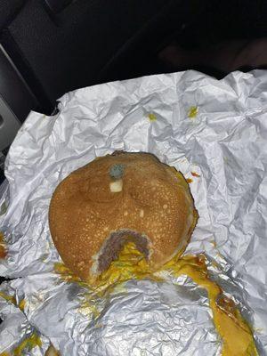 A double cheese burger ordered from the ice cream shack with mold on the bun.