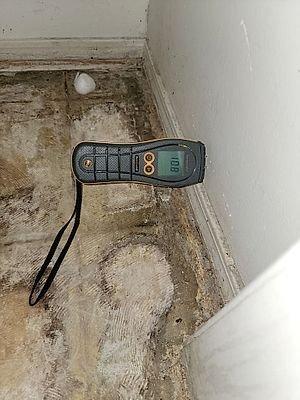 Mold Removal and Detection Services in Orlando, FL