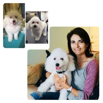 Tirza Dabdoub owner/operator of Paws On Wheels since 1999 with over 25+ years experience and former vet tech.