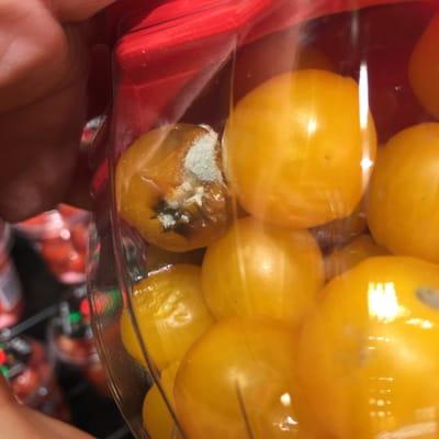 Moldy tomatoes