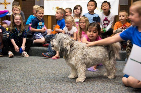 Part of our Noah's Landing program is Daisy, our resident pet therapy dog.  A hit with the kids as well as our Elders