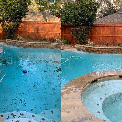 Dynamic Pool Services