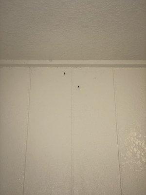 Nails sticking out of wall.