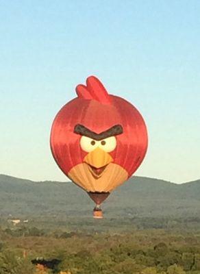 What could angry bird possibly have to be angry about on such a beautiful morning flight?#AngryBird