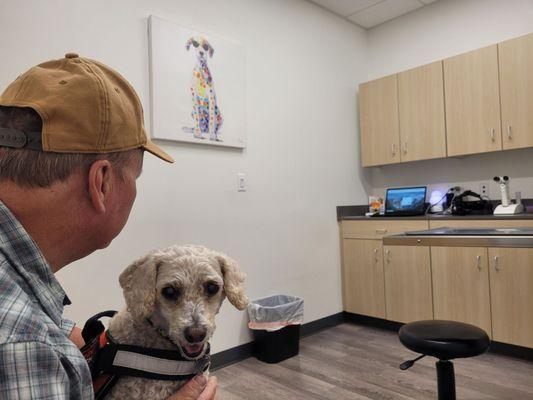 The exam rooms are spacious and clean.