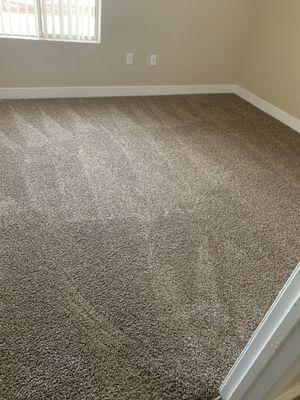 Carpet Cleaning