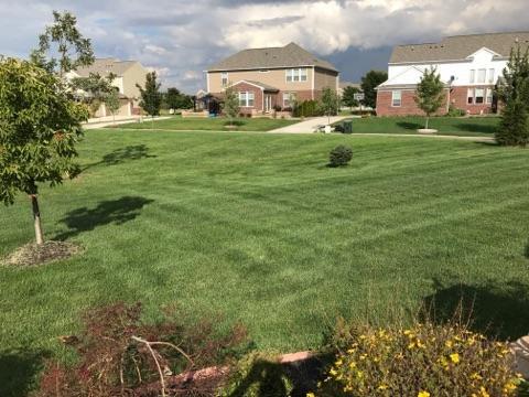 Michigan lawn treated by Independent Lawn Service